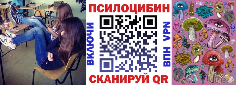 kraken зеркало Топки Псилоцибиновые грибы Psilocybine cubensis даркнет сайт