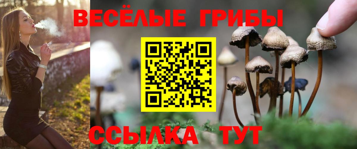 Топки  Псилоцибиновые грибы ЛСД  Вход с VPN 