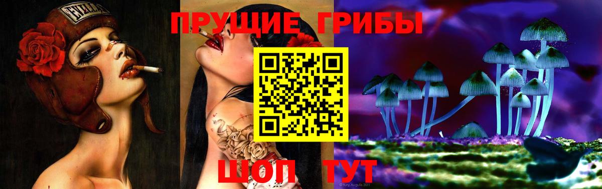 Псилоцибиновые грибы Psilocybine cubensis  Топки 